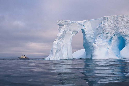 Источник вдохновения для украшения - Антарктида
